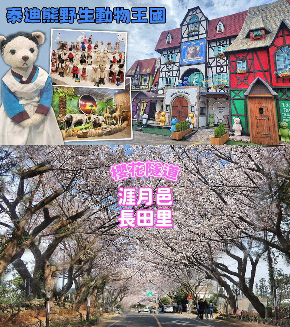 3/20-4/15賞櫻限定↘ 威瘋粉櫻濟州五日~櫻花隧道、汗