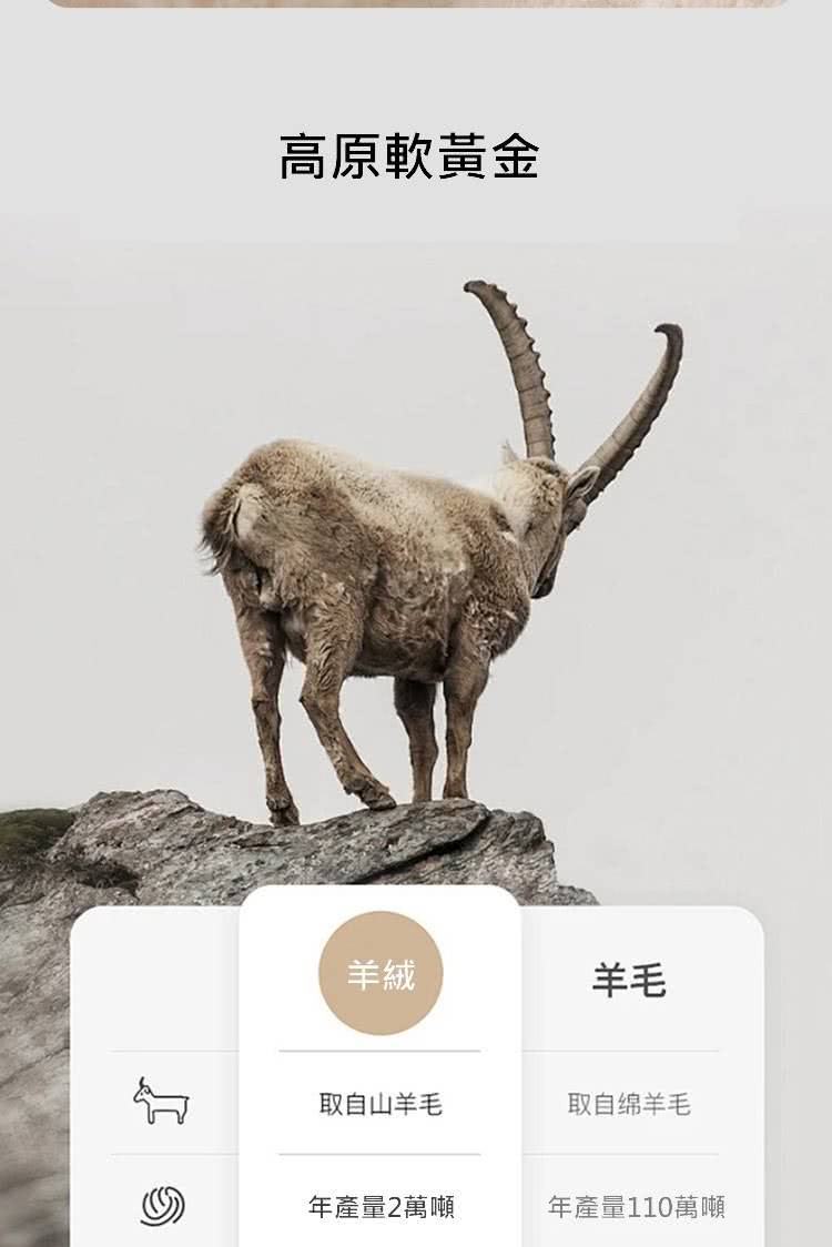 å¹´ç¢é110è¬å¸
