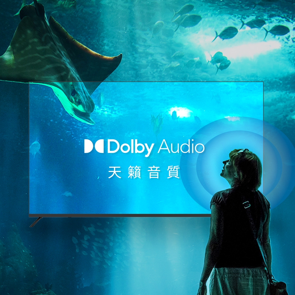 DigiKing數位新貴 DK-S43KN2411 - 詳情9