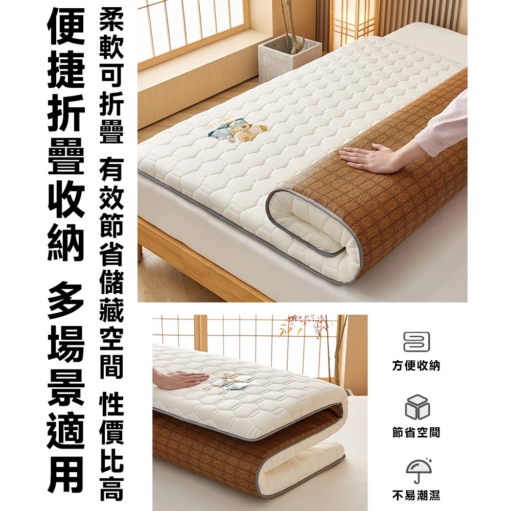 歐德沐 冬夏兩用雙面床墊90*190cm 加厚6公分 高效護