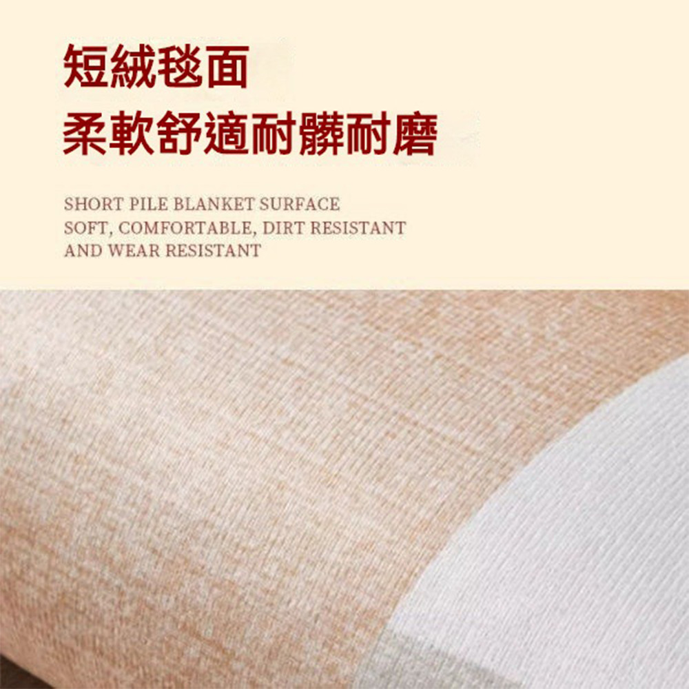 INS北歐地毯 地毯地墊 房間地墊 地毯 地毯臥室 客廳地毯