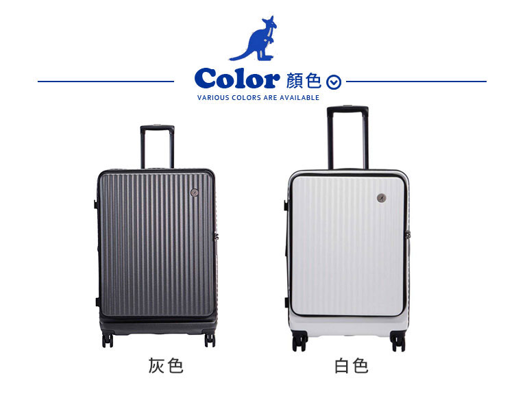 Color é¡è² ç°è² ç½è² 