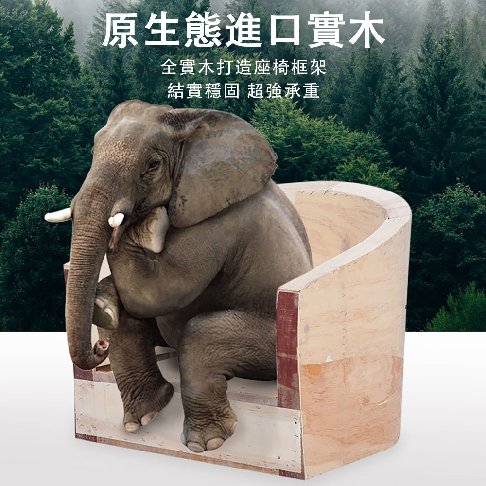 星河 單人沙發 沙發椅 小戶型家用皮沙發(臥室陽台休閑椅 靠