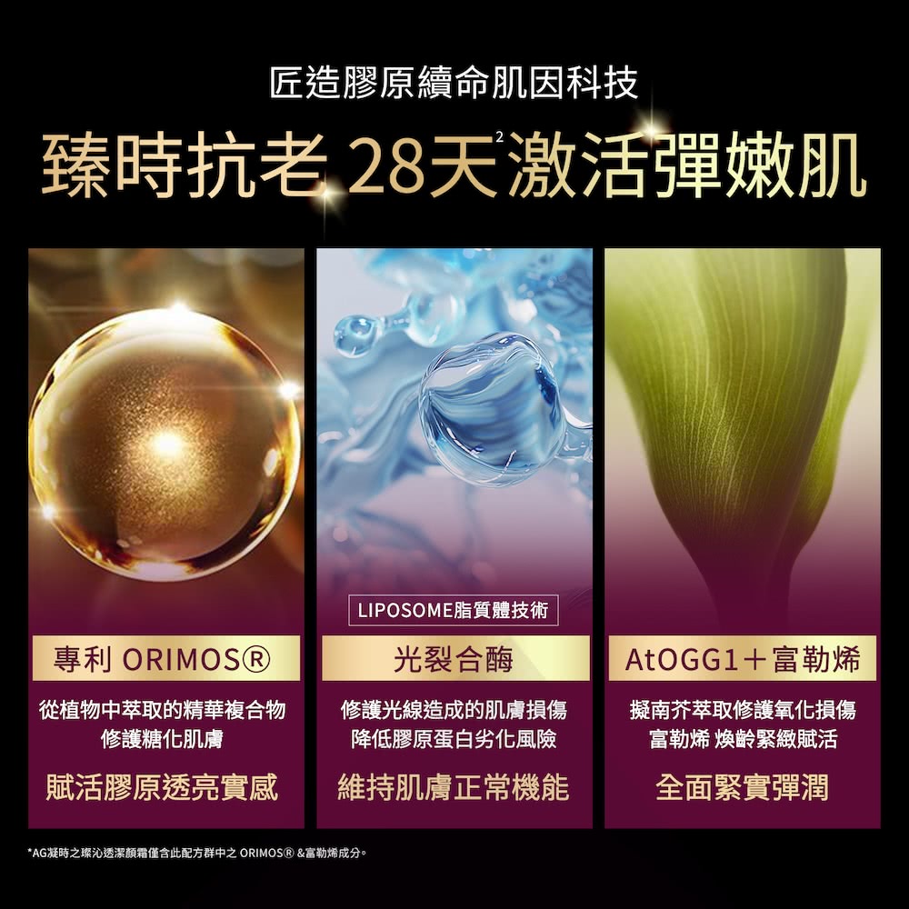 cocochi AG TRIPLE凝時之璨豐盈乳霜(50g)