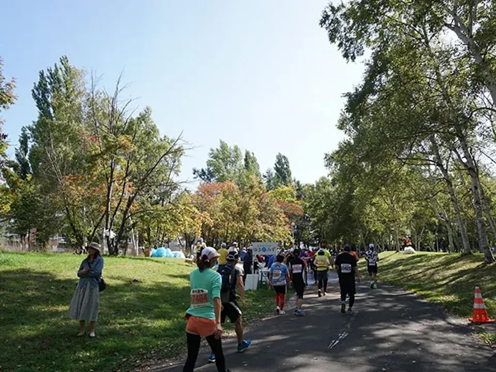 北海道札幌馬拉松 10K單人參賽名額+2晚薄野格蘭貝爾飯店單