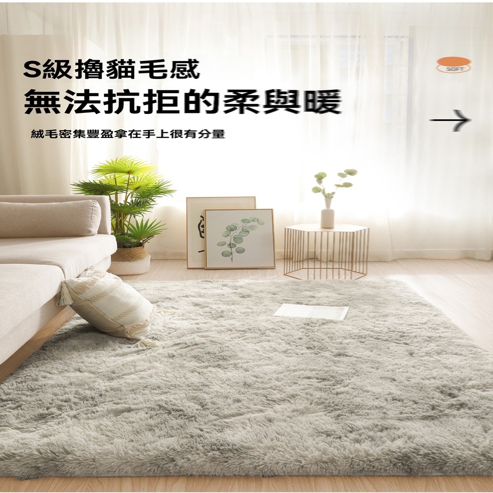 興連心旗艦店 床邊毯免洗可擦毛毯地墊茶幾毯60×160CM(