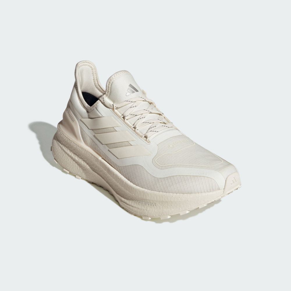 adidas 愛迪達 Ultraboost 5 GTX 男鞋
