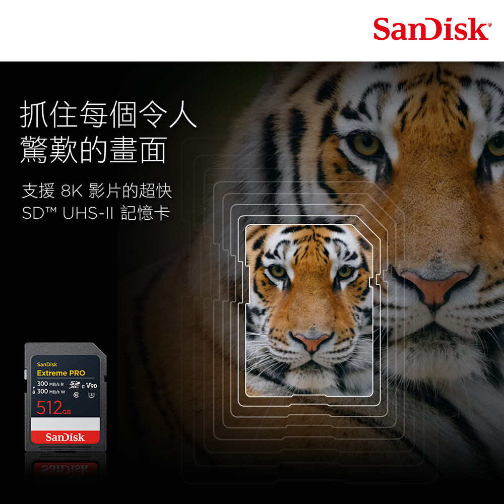 SanDisk 晟碟 Extreme PRO UHS-II 