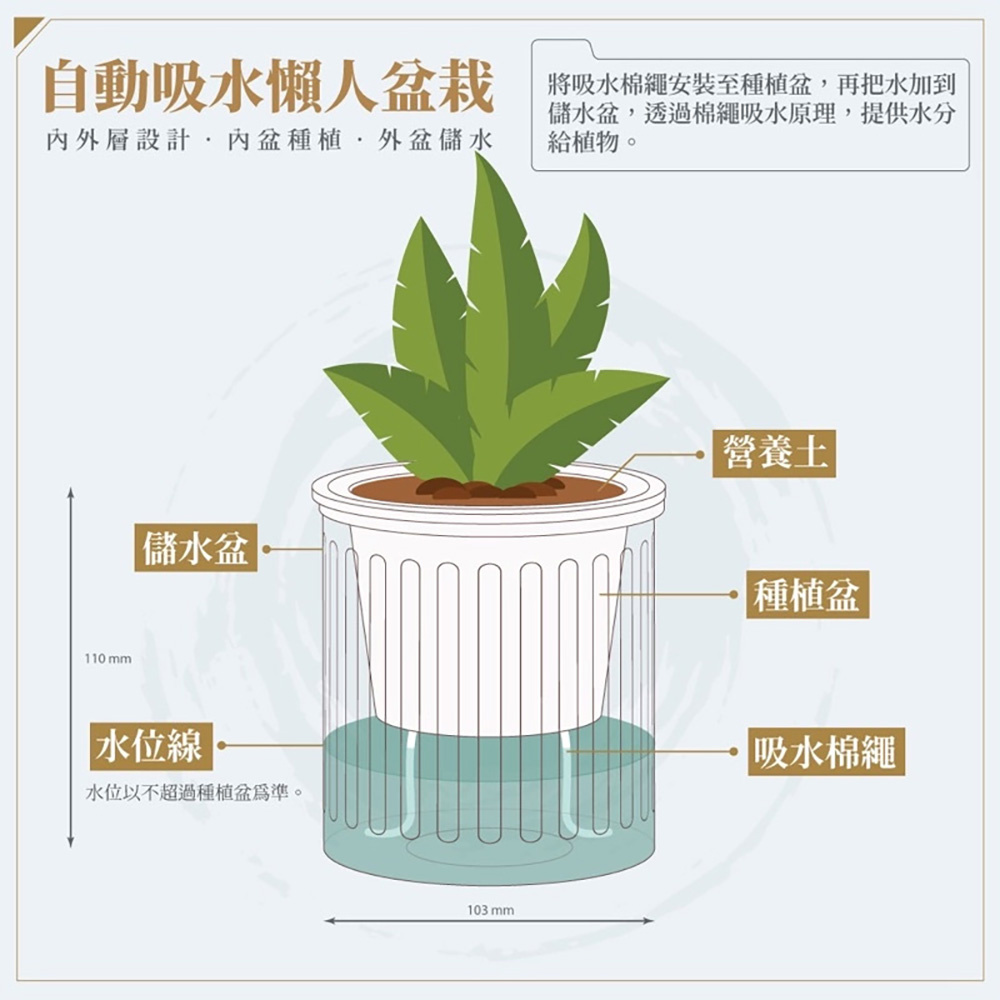 å°å¸æ°´æ£ç¹©å®è£è³ç¨®æ¤ç,åææ°´å å°