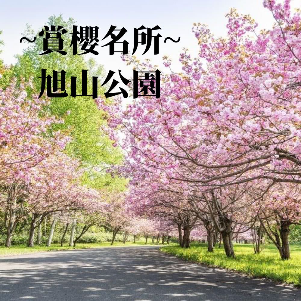 北海道櫻花翩翩五日 旭山公園、都山流冰、東藻琴村(三大螃蟹+