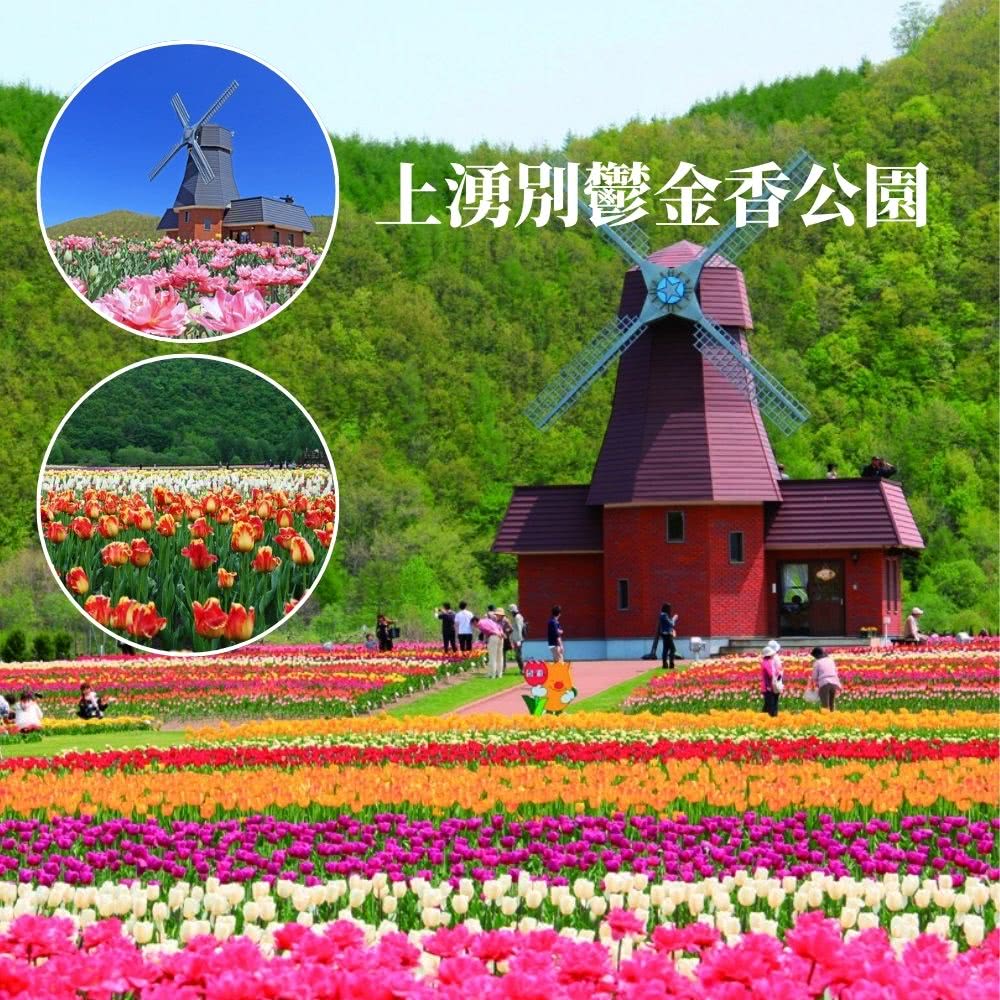 北海道櫻花翩翩五日 旭山公園、都山流冰、東藻琴村(三大螃蟹+