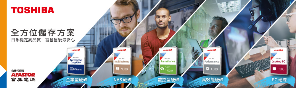 TOSHIBA 東芝 4入 ★ N300系列 3.5吋 16