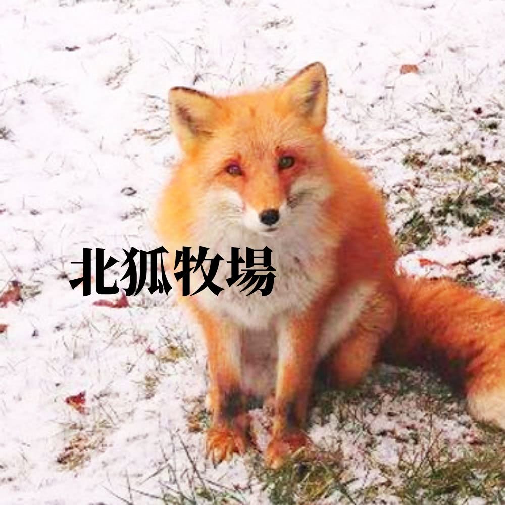 北海道暢遊道東五日 男山造酒廠、砂之湯體驗、阿寒湖溫泉品牌優