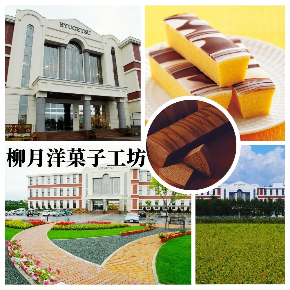 夏戀北海道五日 四季彩之丘、富良野花海、洞爺湖花火、尼克斯海