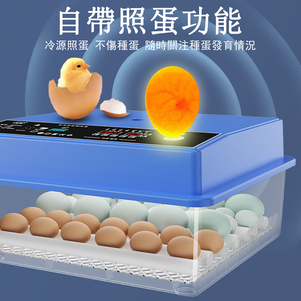 佳裕 12枚孵蛋機 全自動孵化器 智慧控溫箱(鵪鶉孵蛋機保溫