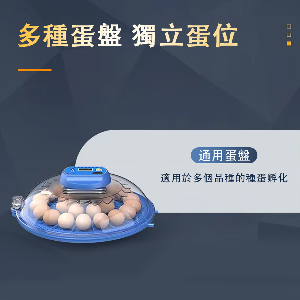 8枚雙電 全自動孵化機 雞鴨鵝鴿子孵化器 小雞雞蛋孵化機(孵