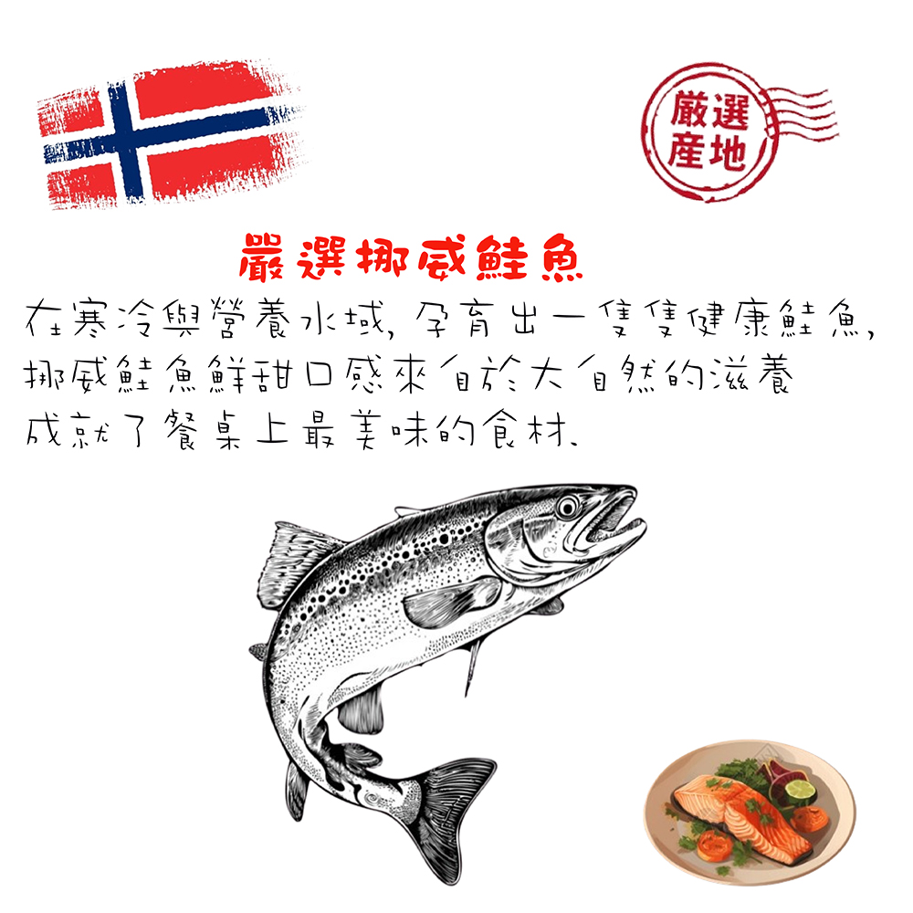海之醇 挪威煙燻大西洋鮭魚切片5盒(100g/盒)優惠推薦
