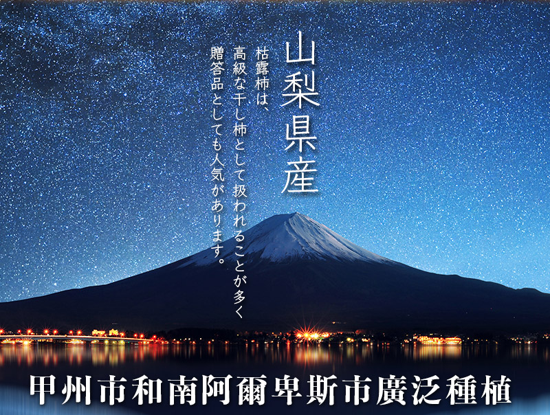 果樹寶石 日本山梨枯露柿餅x1盒（6包/盒）(特大禮贈規格 