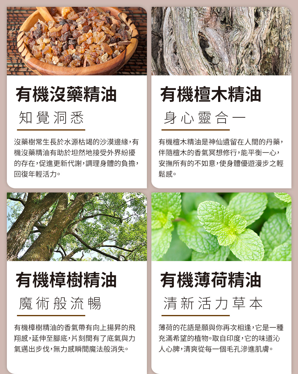 的存在,促進更新代謝,調理身體的負擔,