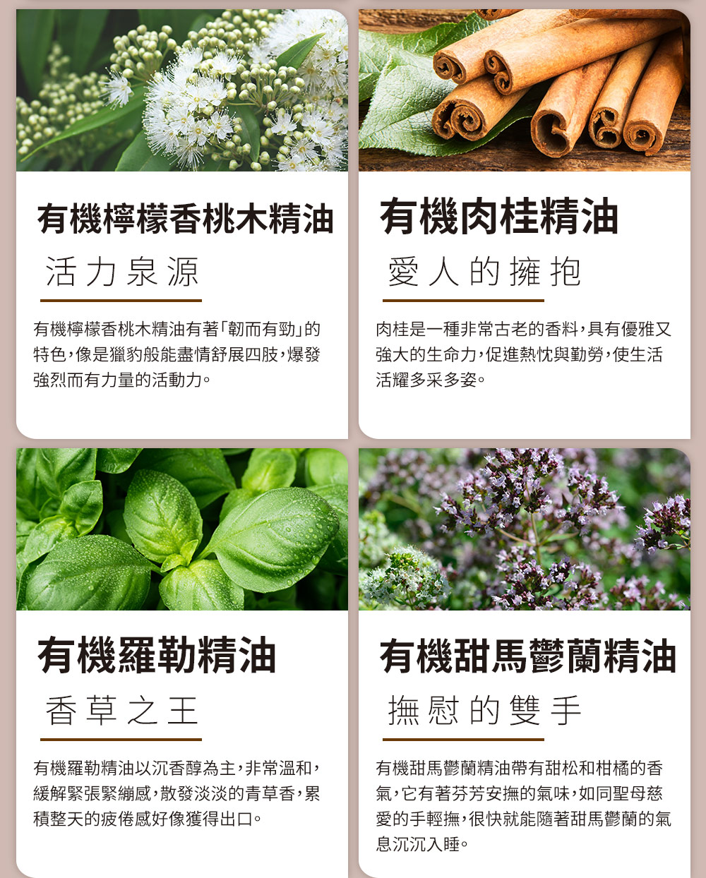 特色,像是獵豹般能盡情舒展四肢,爆發