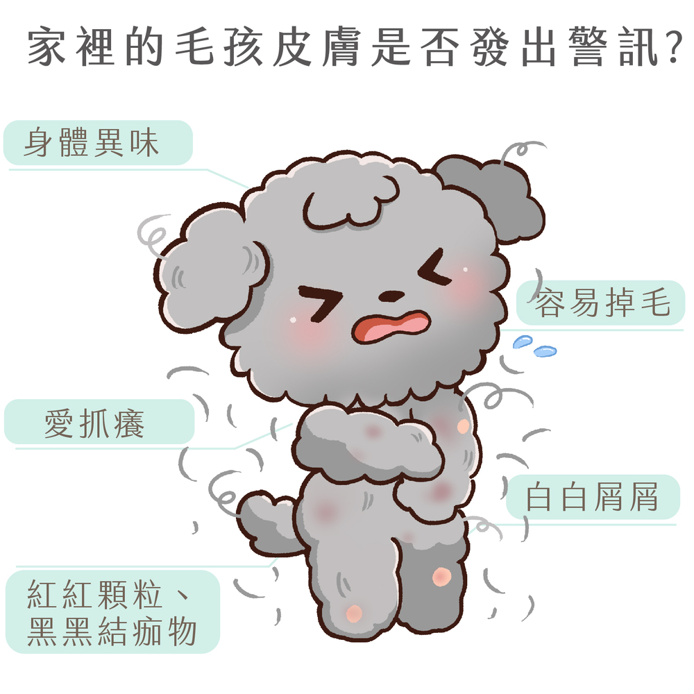 GOODMO 歸毛家族 舒敏保濕洗毛乳500ML+護膚噴液+