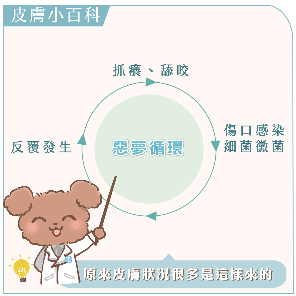 GOODMO 歸毛家族 舒敏保濕洗毛乳500ML+護膚噴液+