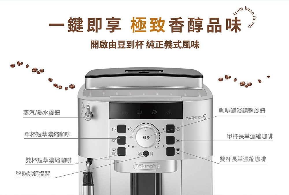 éåç±è±å°æ¯ ç´æ­£ç¾©å¼é¢¨å³