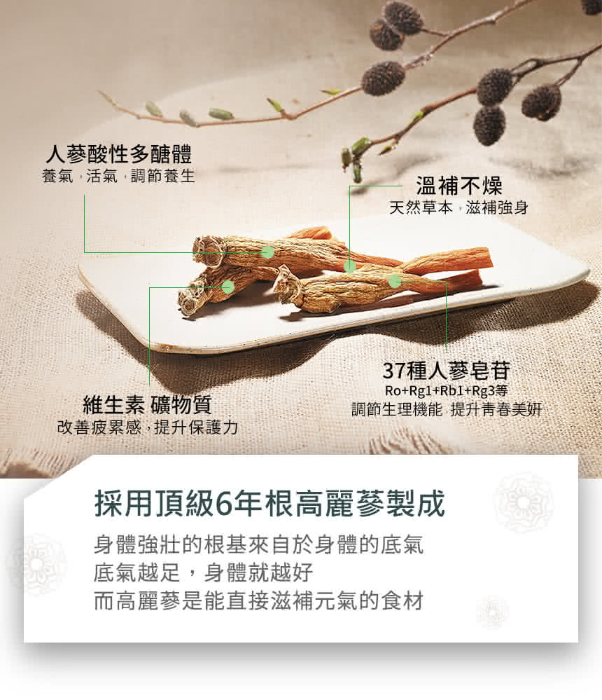 身體強壯的根基來自於身體的底氣