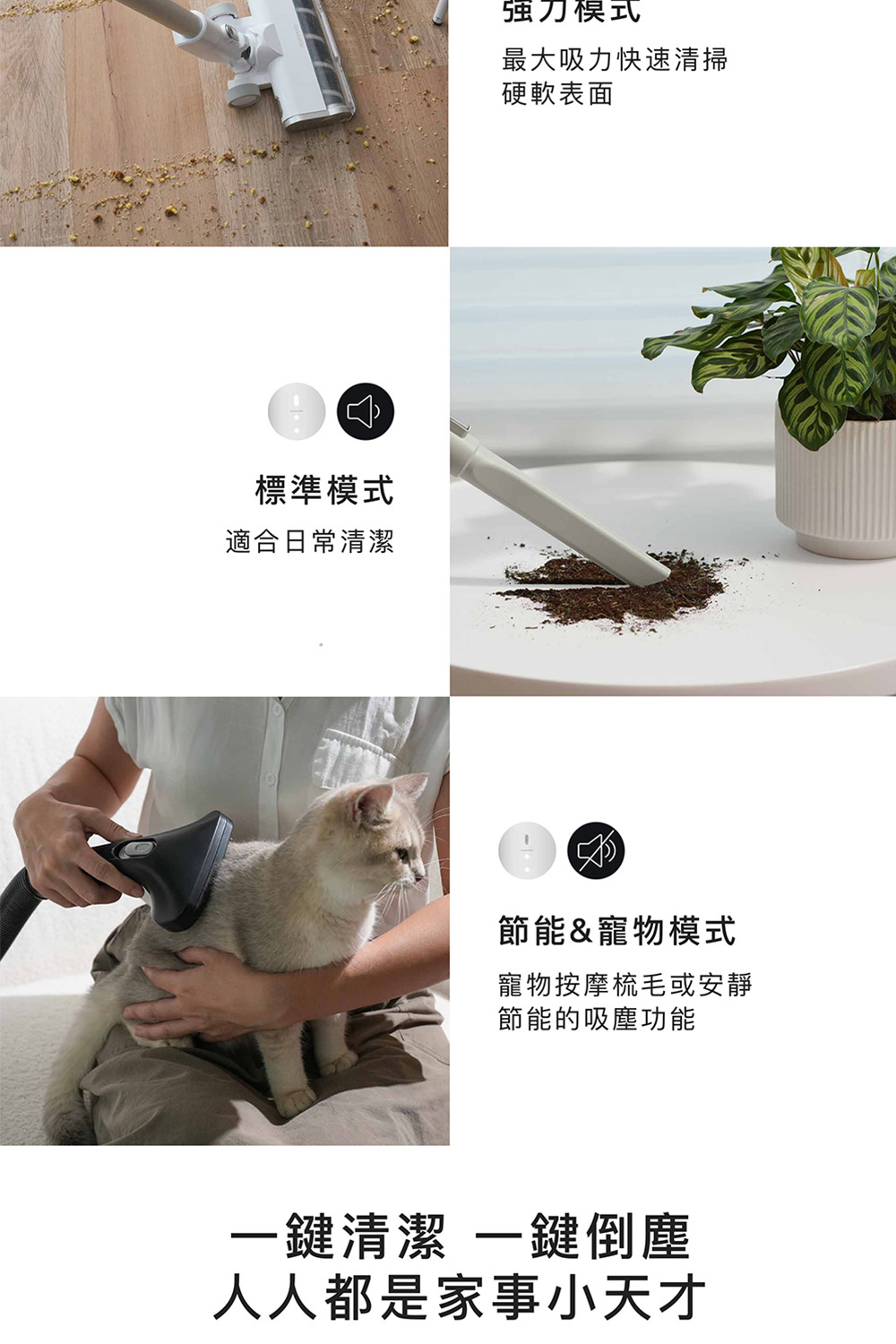 寵物按摩梳毛或安靜