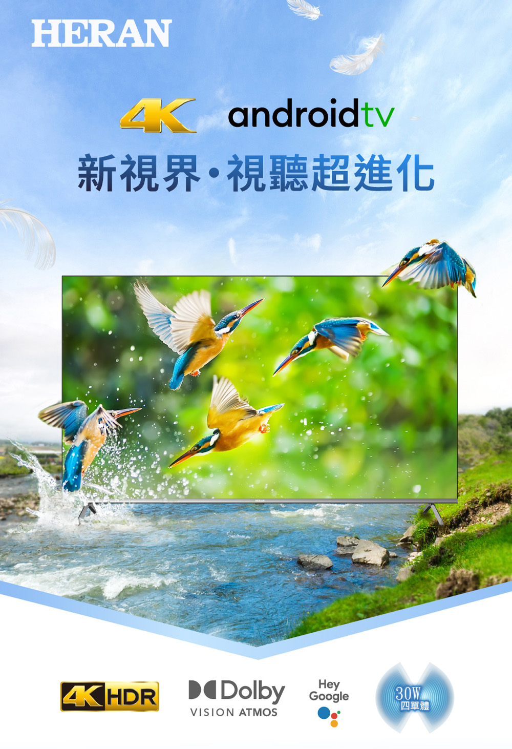 HERAN禾聯 50HQX-F1 - 詳情2