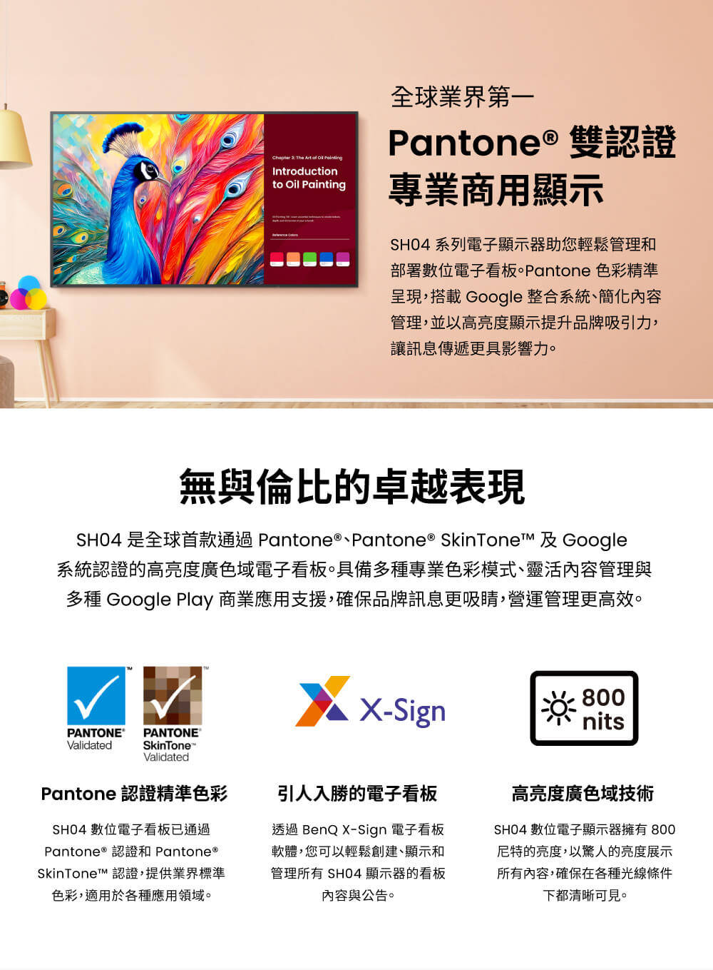 BenQ明碁 SH6504 - 詳情2