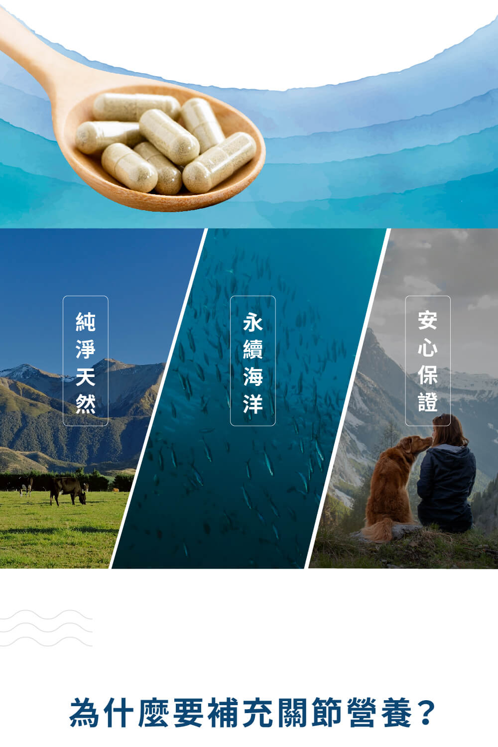 安心保證 永續海洋 純淨天然 為什麼要補充關節營養 