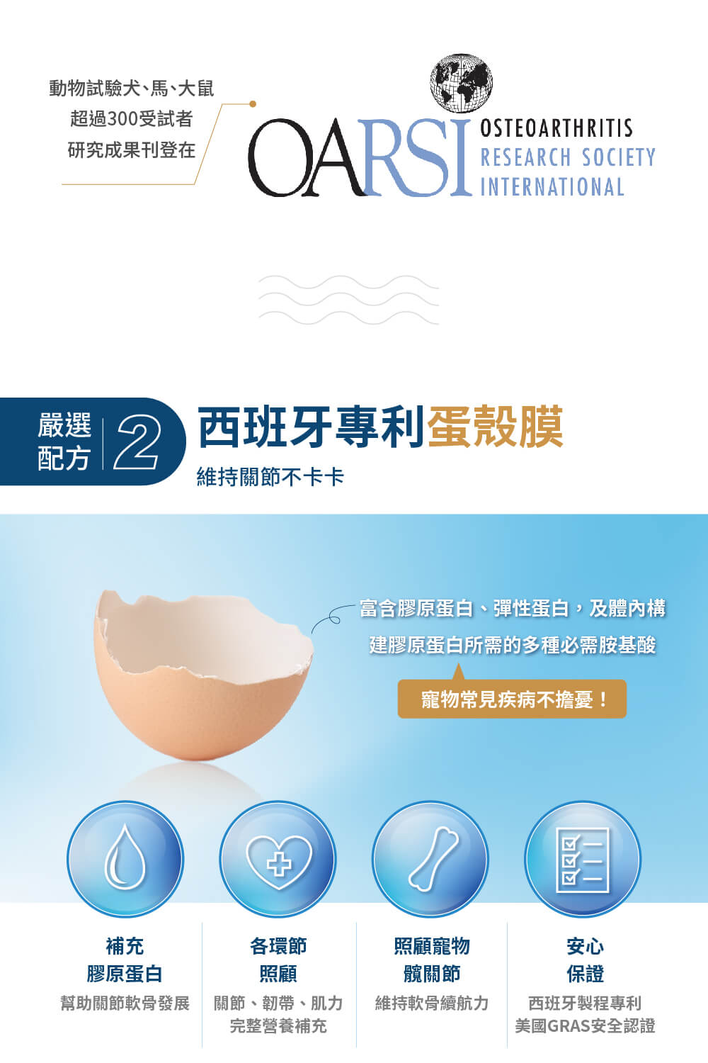 富含膠原蛋白、彈性蛋白,及體內構