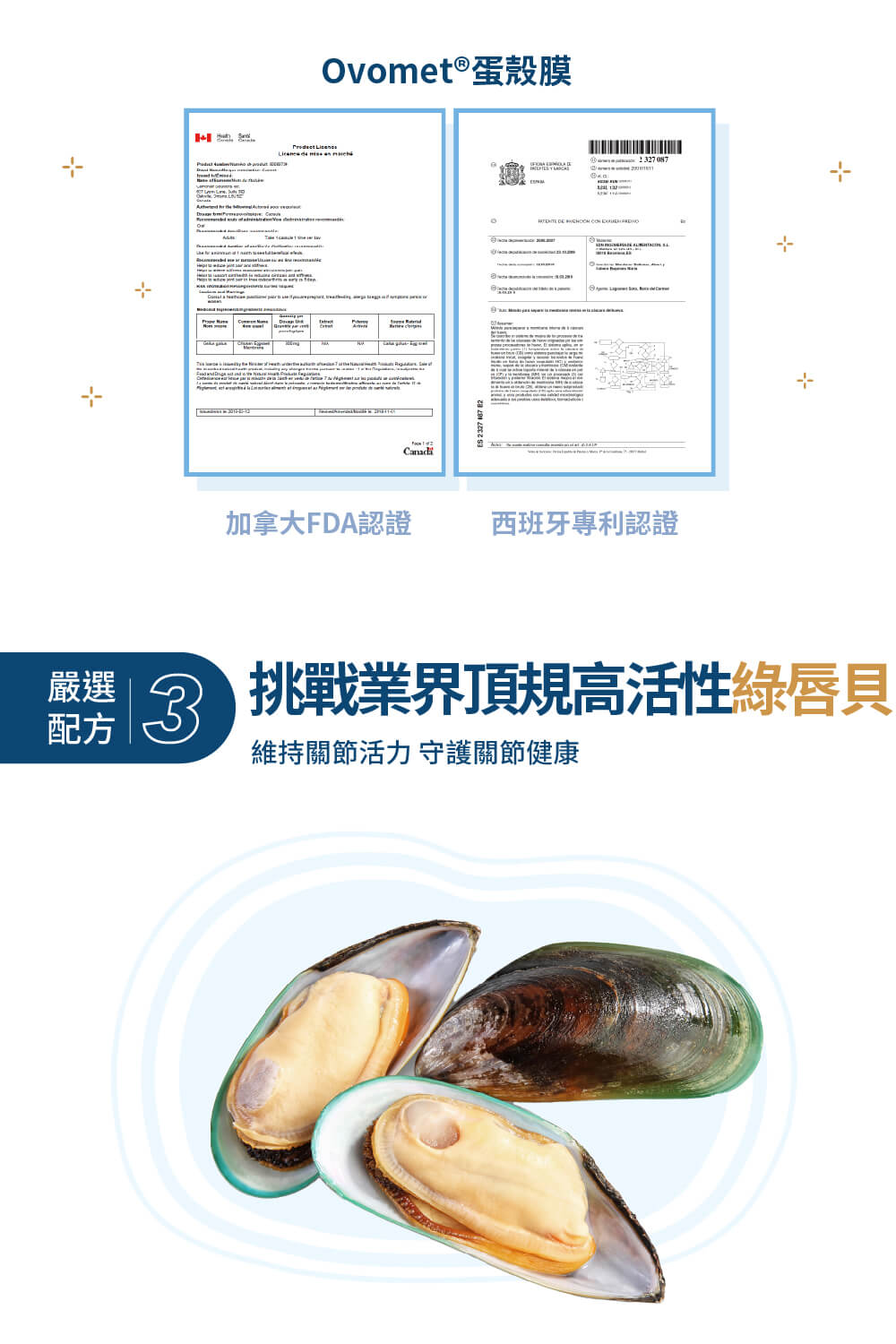 維持關節活力 守護關節健康
