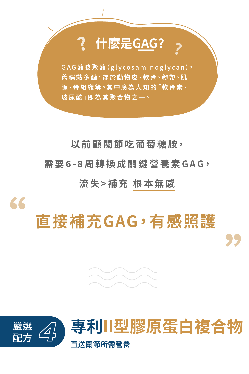 GAG醣胺聚醣glycosaminoglycan,