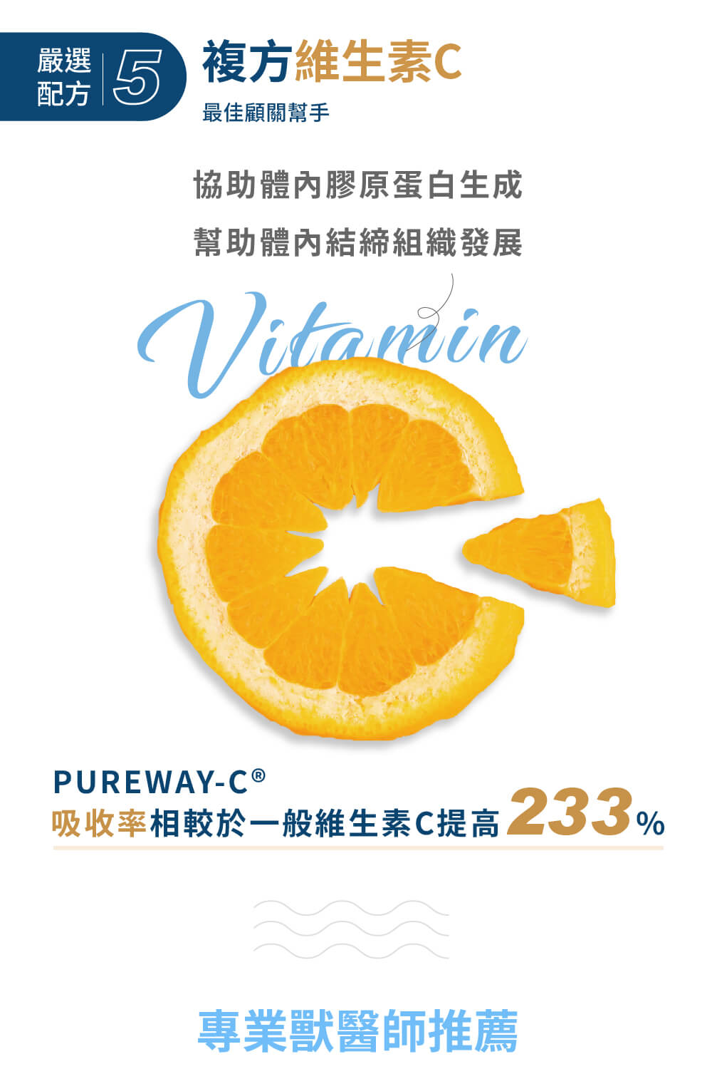 吸收率相較於一般維生素C提高 233%
