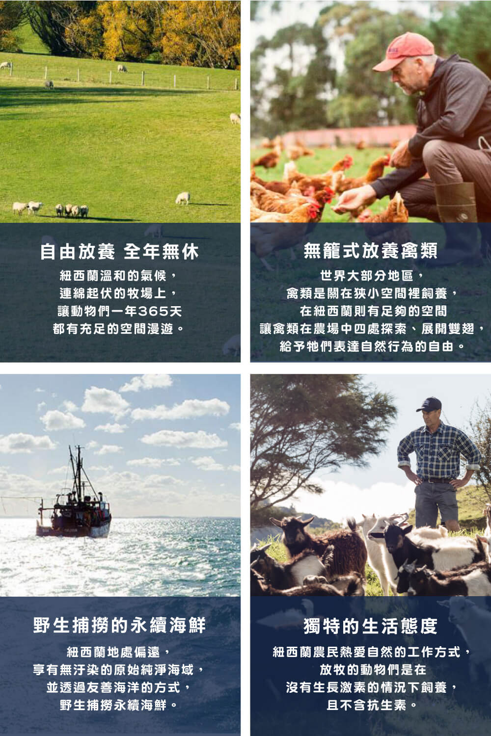 讓禽類在農場中四處探索、展開雙翅,