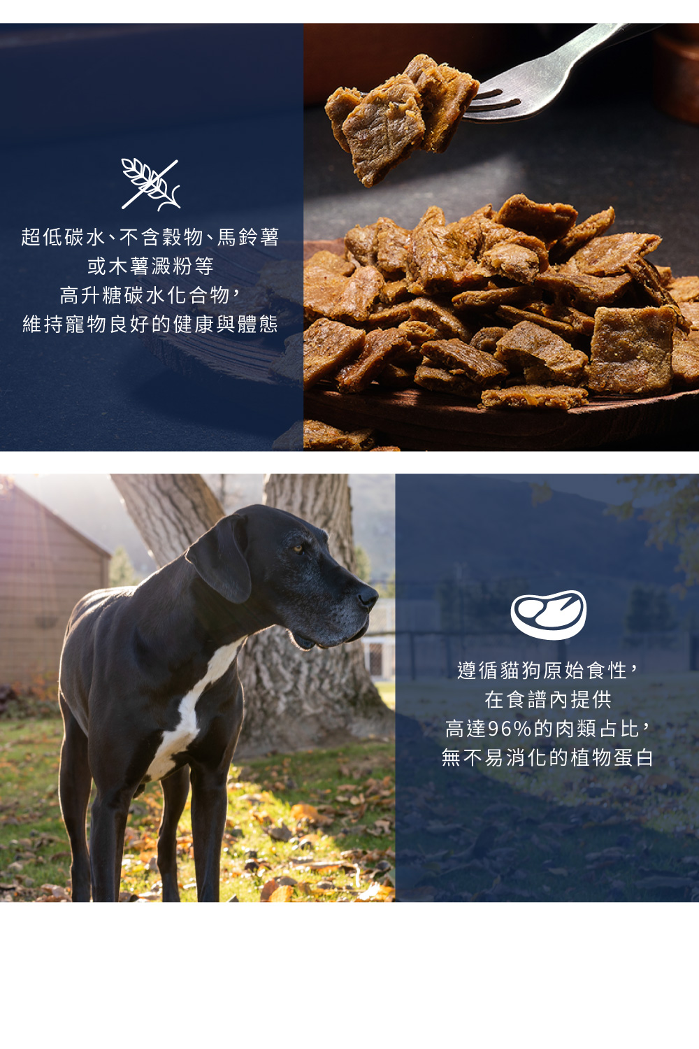 超低碳水、不含穀物、馬鈴薯