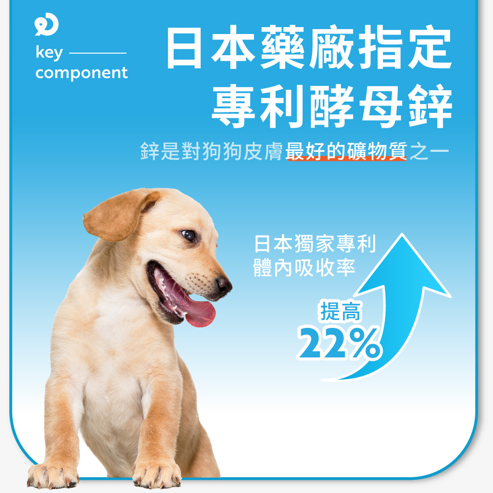 鋅是對狗狗皮膚最好的礦物質之一