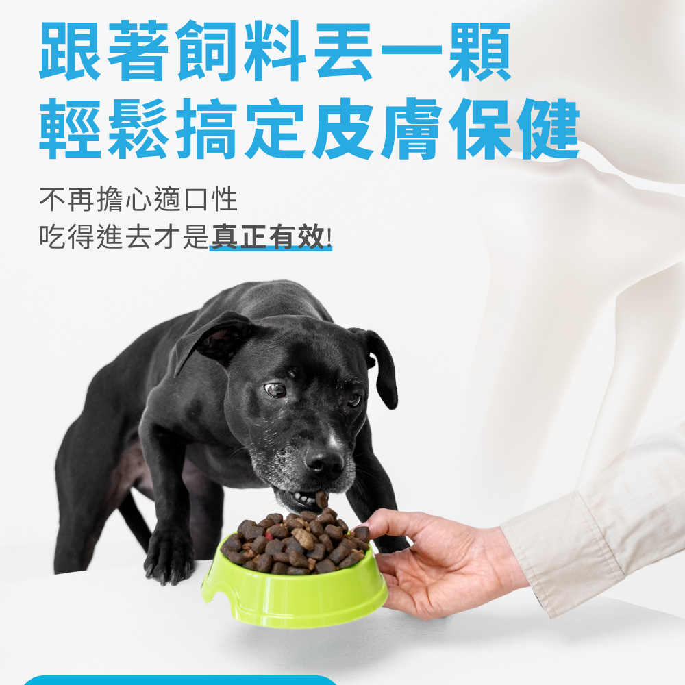 跟著飼料丟一顆 輕鬆搞定皮膚保健 不再擔心適口性 吃得進去才是真正有效 