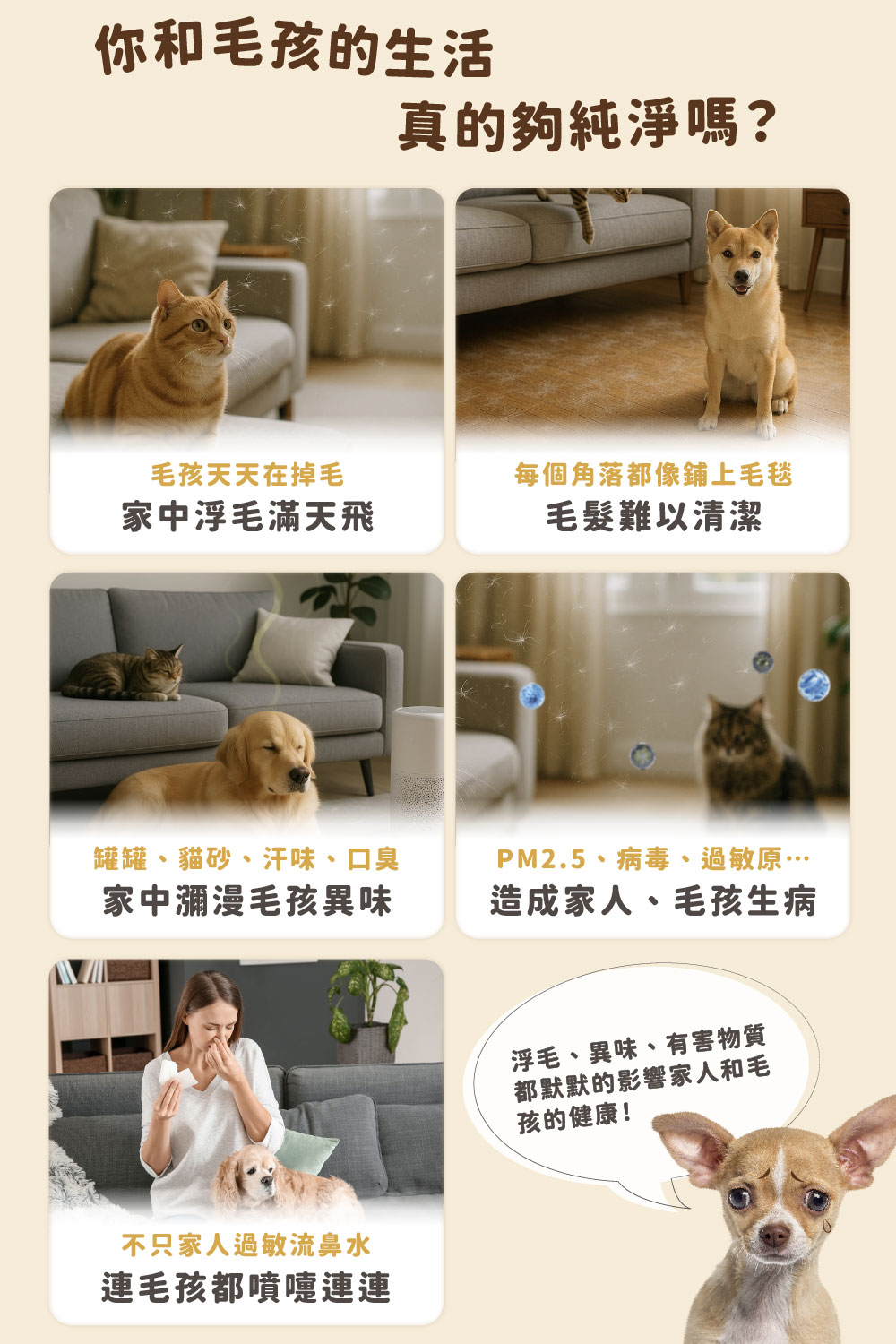 PM2.5、病毒、過敏原