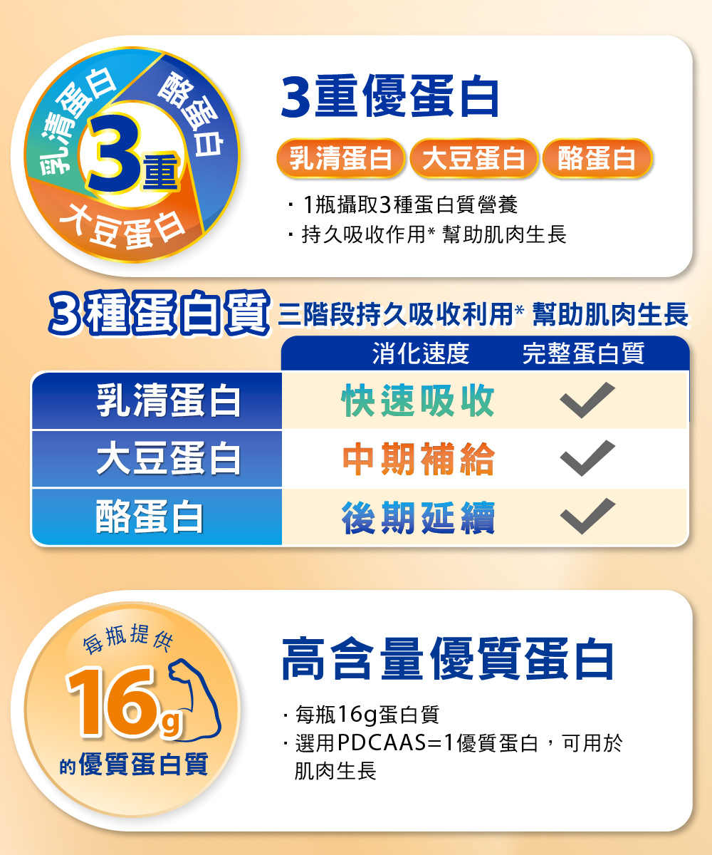 3種蛋白質 三階段持久吸收利用幫助肌肉生長