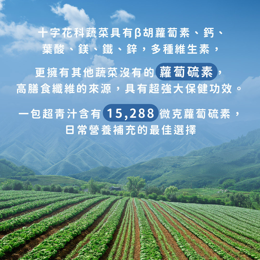 一包超青汁含有15,288微克蘿蔔硫素,