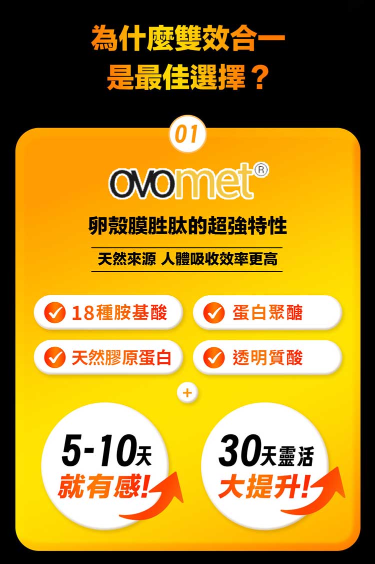為什麼雙效合一是最佳選擇?01卵殼膜胜肽的特性天然來源 人體吸收效率更高18種胺基酸蛋白聚醣 天然膠原蛋白透明質酸5-10天就有感30天靈活大提升!