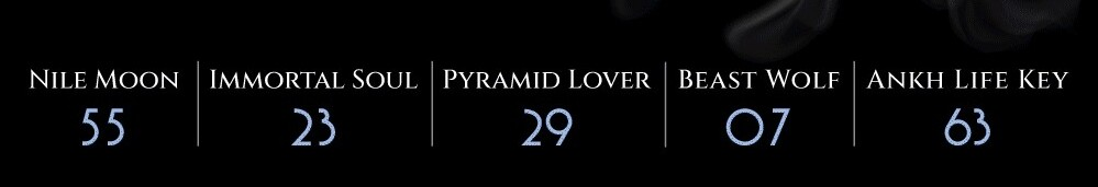 NILE MOON IMMORTAL SOUL PYRAMID LOVER BEAST WOLFANKH LIFE KEY55232963