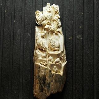 【橙印良品】長毛象牙鶴立雞群(此商品為化石絕對合法)
