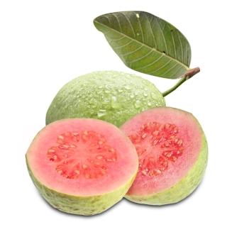 【果之家】燕巢脆甜爽口紅心芭樂10台斤(1箱/約12-16顆)