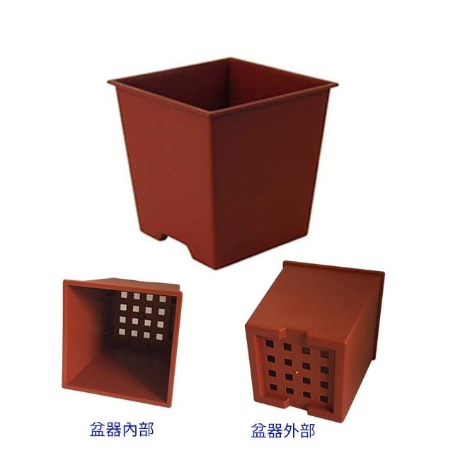 【005-D112-RE】四方型栽培盆2吋-磚紅色(厚) 【005-D112-RE】四方型栽培盆2吋-磚紅色(厚)