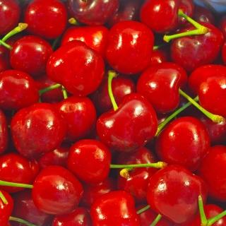 【鮮果日誌-中秋禮盒】美加空運頂級皇家櫻桃(9.5Row/2公斤精美禮盒裝)