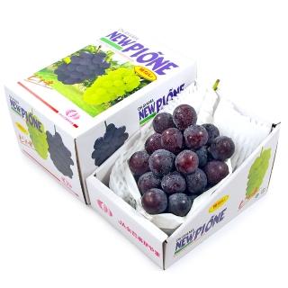 【鮮果日誌】日本岡山縣 貓眼葡萄(一房)